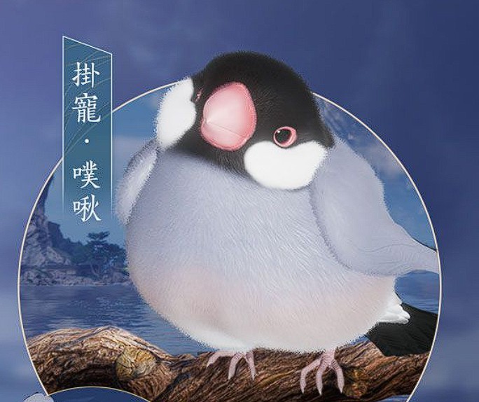 首圖