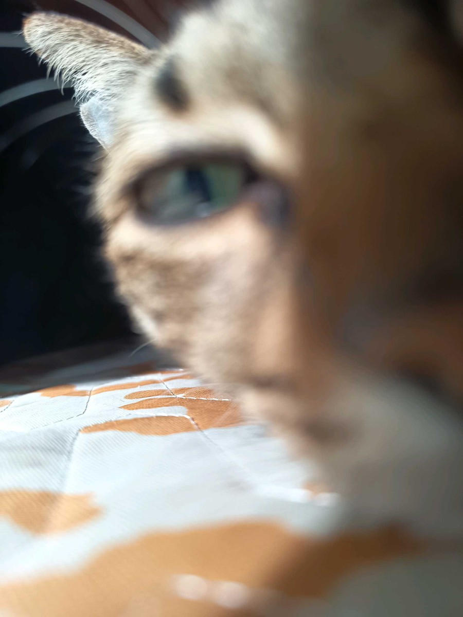 首圖