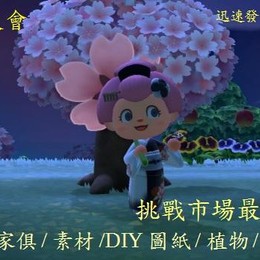 動物之森 挑戰最低價 送小潤杰克 素材買一送一 Diy道具組 金礦 王冠 各素材