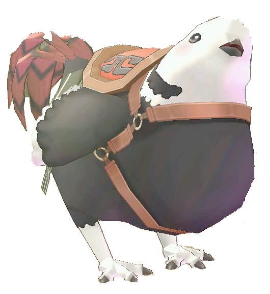 首圖