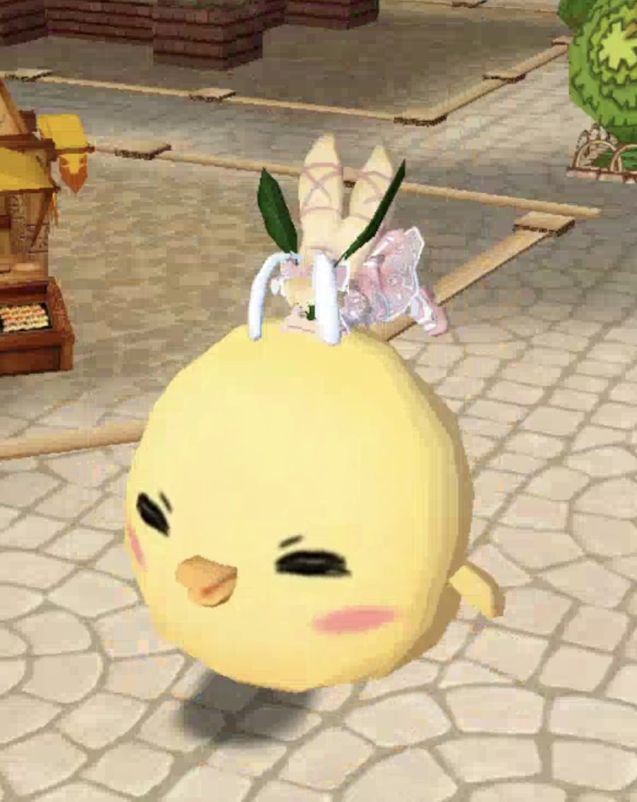 首圖