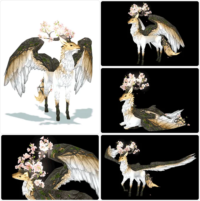 首圖